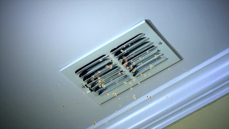 Best HVAC Maintenance and Cleaning  in Horse Pasture, VA