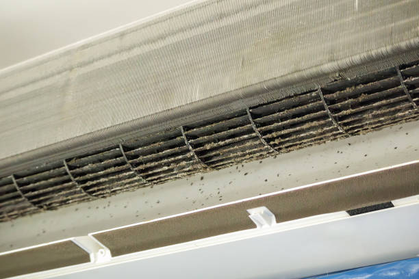 Best Affordable Duct Cleaning Services  in Horse Pasture, VA