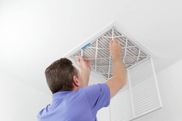 Best Professional Duct Cleaning Services  in Horse Pasture, VA